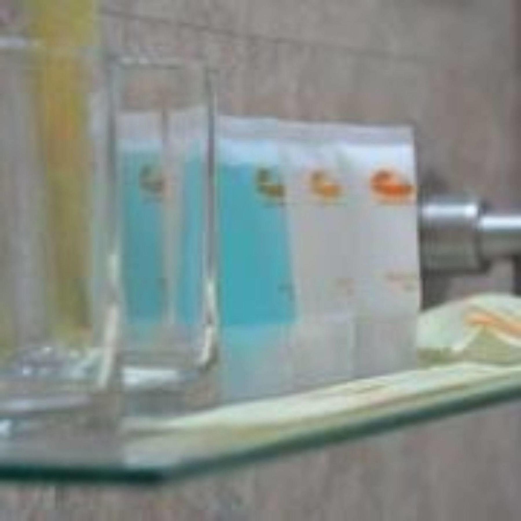 Masaaree Boutique Hotel Maafushi Dış mekan fotoğraf